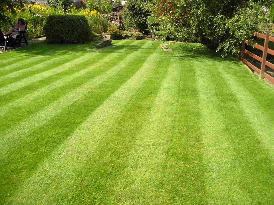 Lush lawn in Beverly, MA using Finest Green lawn care